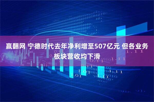 赢翻网 宁德时代去年净利增至507亿元 但各业务板块营收均下滑