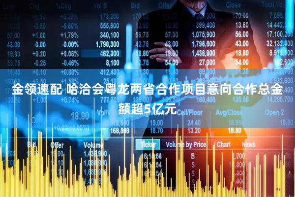 金领速配 哈洽会粤龙两省合作项目意向合作总金额超5亿元
