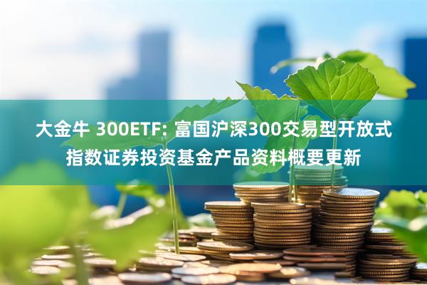 大金牛 300ETF: 富国沪深300交易型开放式指数证券投资基金产品资料概要更新