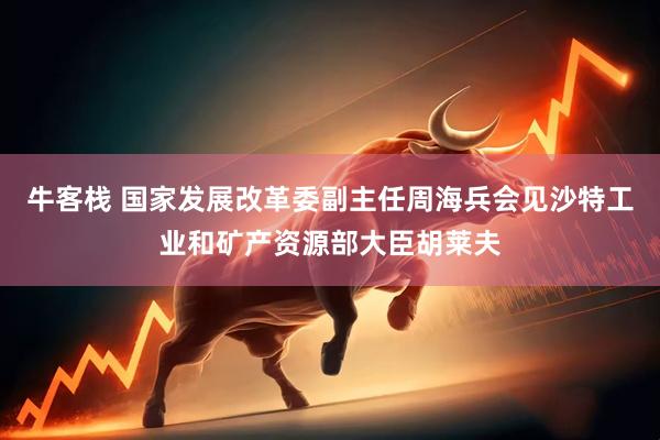 牛客栈 国家发展改革委副主任周海兵会见沙特工业和矿产资源部大臣胡莱夫