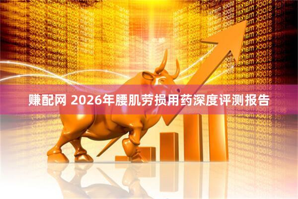 赚配网 2026年腰肌劳损用药深度评测报告