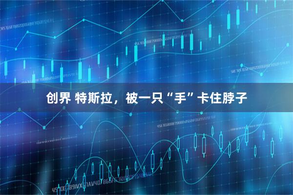 创界 特斯拉，被一只“手”卡住脖子