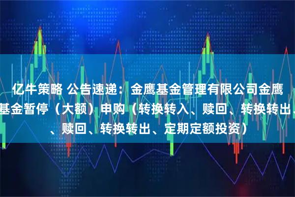 亿牛策略 公告速递：金鹰基金管理有限公司金鹰添祥中短债基金基金暂停（大额）申购（转换转入、赎回、转换转出、定期定额投资）