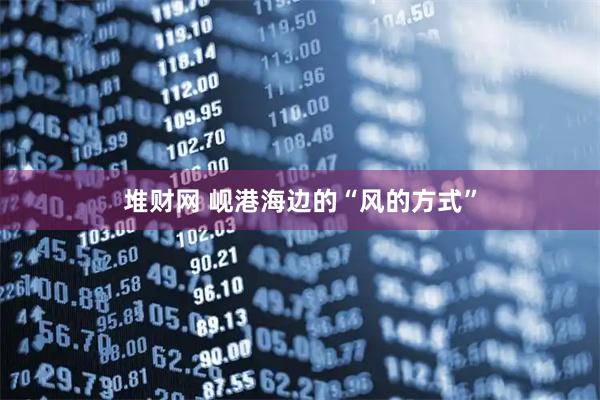 堆财网 岘港海边的“风的方式”