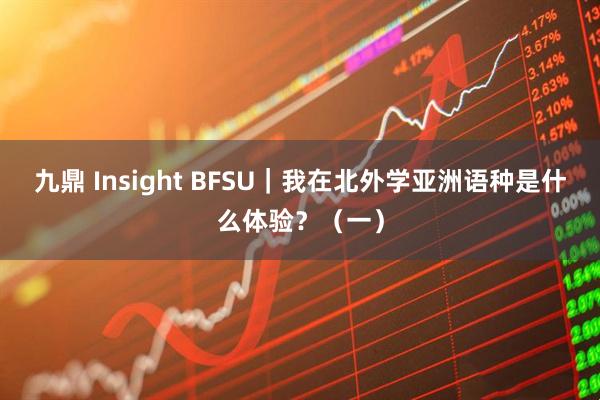 九鼎 Insight BFSU｜我在北外学亚洲语种是什么体验？（一）