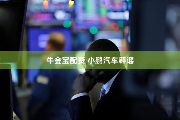 牛金宝配资 小鹏汽车辟谣